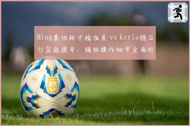 Ming泰坦钩子精准度 vs Keria锤石灯笼救援率,辅助操作细节全面对比