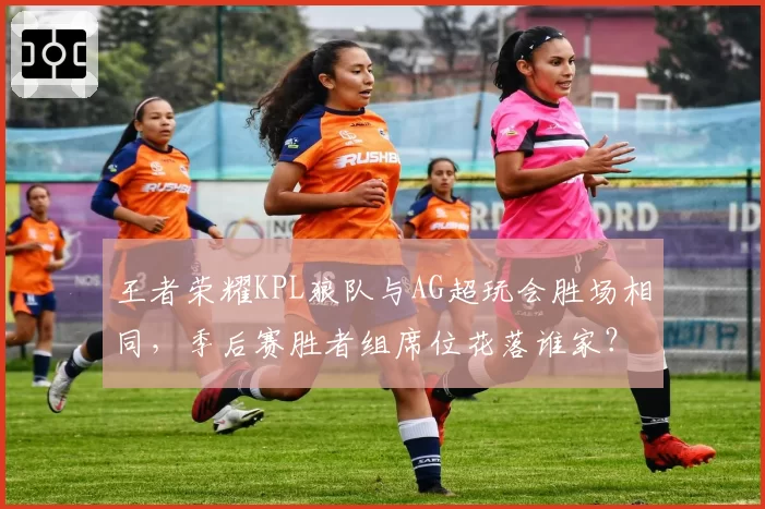 王者荣耀KPL狼队与AG超玩会胜场相同,季后赛胜者组席位花落谁家?