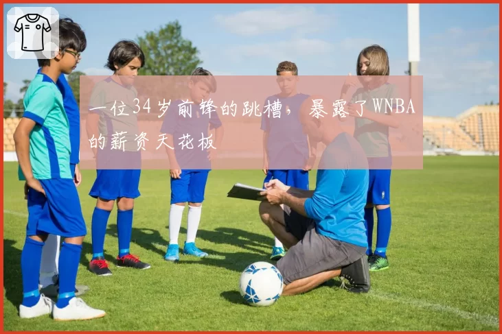 一位34岁前锋的跳槽,暴露了WNBA的薪资天花板